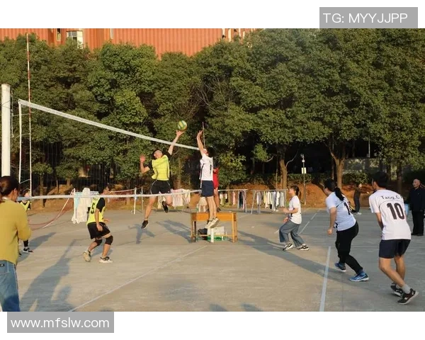 武汉排球队中路突破创新之路探秘与未来展望